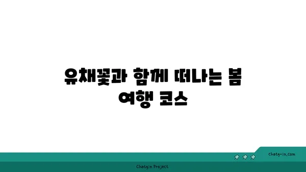 유채꽃밭의 매력에 빠지다| 봄맞이 유채꽃 축제 & 여행지 추천 | 유채꽃, 봄꽃 축제, 여행, 사진 명소