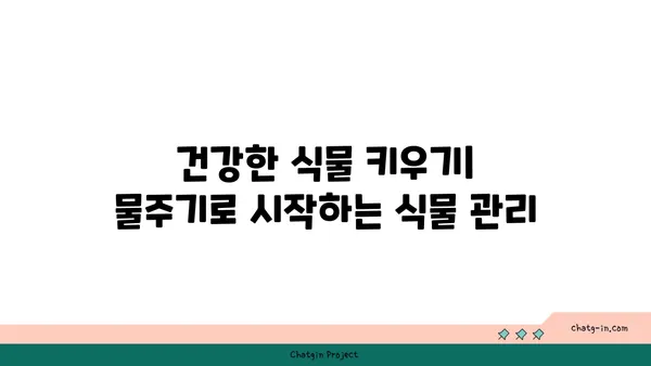 식물을 위한 완벽한 물주기 가이드 | 식물 관리, 물주기 팁, 건강한 식물 키우기