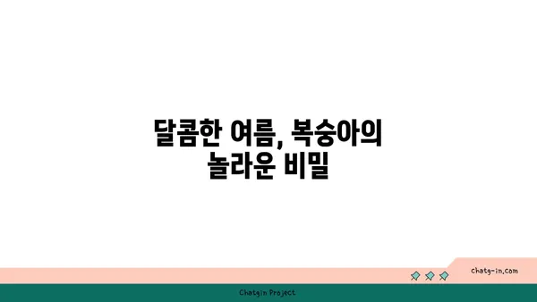 복숭아의 놀라운 영양 효능| 여름철 건강 지키는 비밀 | 복숭아, 영양, 건강, 여름, 과일, 효능, 팁