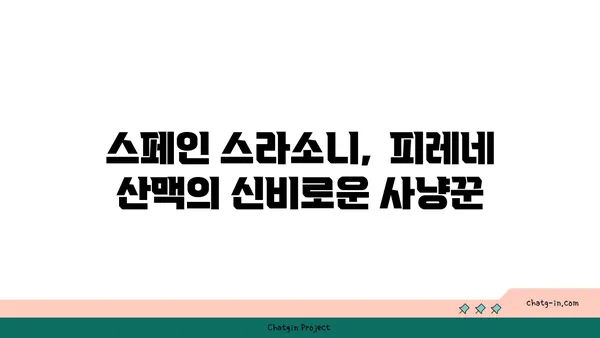 스페인 스라소니| 매혹적인 야생 고양이의 모든 것 | 스라소니, 스페인 야생 동물, 야생 고양이, 서식지, 생태