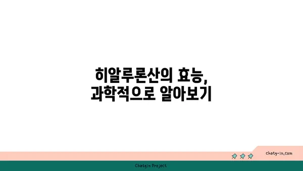 히알루론산의 모든 것 | 피부, 관절, 효능, 부작용, 주의사항