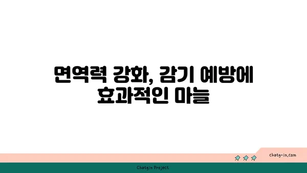 마늘의 놀라운 효능 10가지 | 건강, 면역, 항산화, 요리