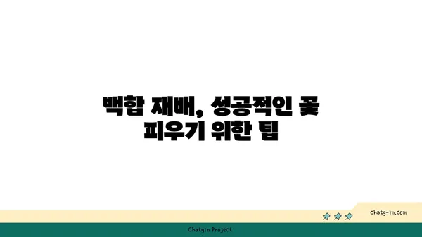 백합의 아름다움을 담다| 품종별 특징과 관리법 | 백합, 꽃, 재배, 품종, 관리