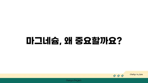 마그네슘 부족 증상과 개선 방법| 건강한 삶을 위한 필수 영양소 | 건강, 영양, 마그네슘 결핍, 건강 관리, 식단