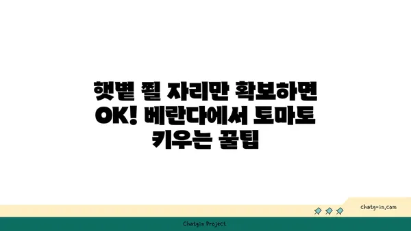 토마토 맛있게 키우는 꿀팁| 집에서 쉽게 성공하는 재배 가이드 | 토마토, 재배, 텃밭, 꿀팁, 가이드