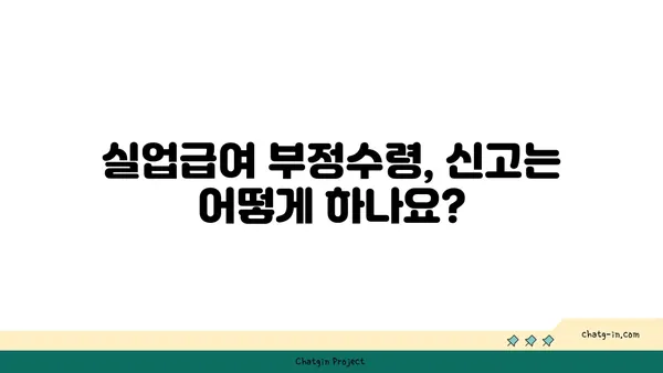 실업급여 부정수령 & 사기 피해, 어떻게 대처해야 할까요? | 실업급여, 부정수령, 사기 피해, 대처 방법, 신고