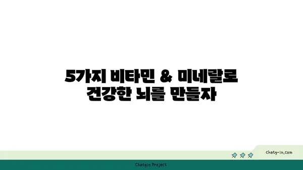 심뇌 건강 지키는 5가지 비타민 & 미네랄 | 뇌 건강, 기억력, 집중력, 영양소, 건강 정보