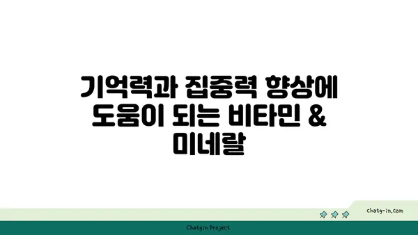 심뇌 건강 지키는 5가지 비타민 & 미네랄 | 뇌 건강, 기억력, 집중력, 영양소, 건강 정보