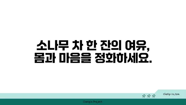 소나무의 놀라운 효능과 활용법| 건강, 미용, 환경까지! | 소나무 효능, 소나무 활용, 소나무 차, 소나무 솔잎