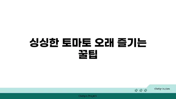 토마토 저장| 오랫동안 맛있는 토마토를 신선하게 유지하는 팁 | 토마토 보관, 신선도 유지, 토마토 관리