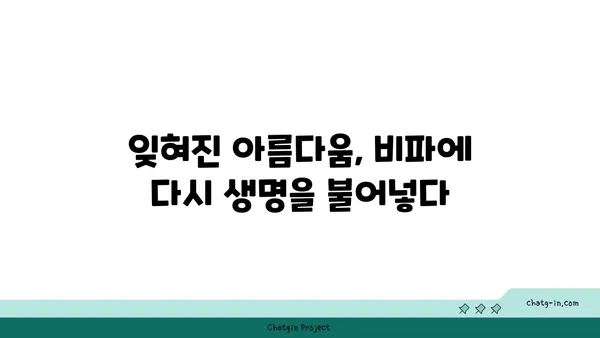 비파 복원| 옛날 보물의 새로운 삶 | 전통 악기 복원, 비파 수리, 문화재 보존