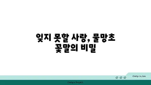 물망초 꽃말과 전설| 사랑과 기억을 담은 아름다운 꽃 이야기 | 꽃말, 전설, 의미, 기원, 종류