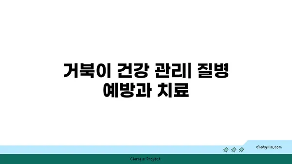 거북이 키우기 완벽 가이드| 종류별 특징부터 건강 관리까지 | 거북, 파충류, 애완동물, 사육, 건강