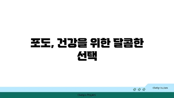 포도의 놀라운 효능과 영양 가치 | 건강, 다이어트, 항산화, 폴리페놀