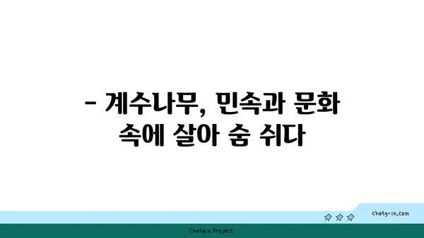 계수나무의 매력|  꽃, 열매, 그리고 전설 | 계수나무, 나무 정보, 전설, 민속