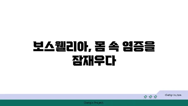 보스웰리아의 놀라운 효능| 염증 완화부터 관절 건강까지 | 보스웰리아, 건강, 효능, 염증, 관절, 천연, 항염증