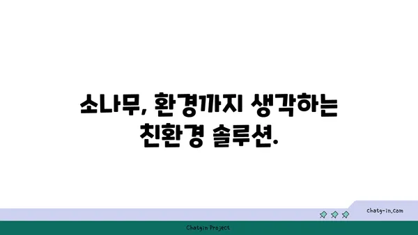 소나무의 놀라운 효능과 활용법| 건강, 미용, 환경까지! | 소나무 효능, 소나무 활용, 소나무 차, 소나무 솔잎