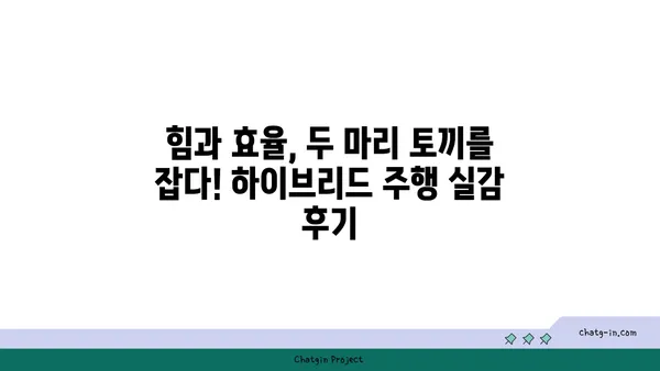 하이브리드 자동차 편견, 이제는 깨부숴! | 장점과 효율성, 실제 주행 경험 공유