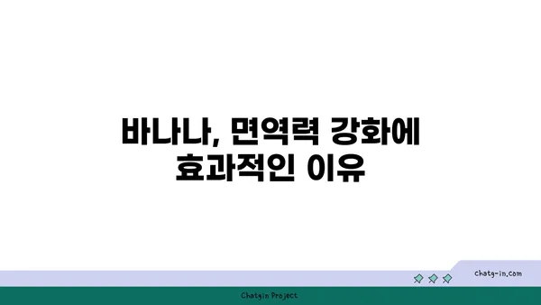 바나나, 면역력 강화에 효과적인 이유 | 건강, 면역력, 바나나 효능, 팁