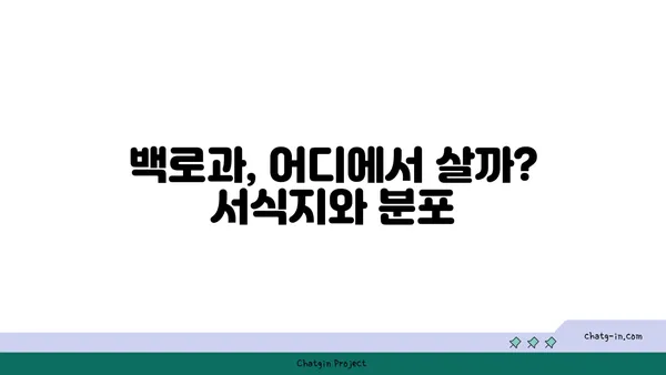 백로과| 한반도의 아름다운 백로, 그 종류와 특징 알아보기 | 백로, 왜가리, 해오라기, 서식지, 분포, 보호