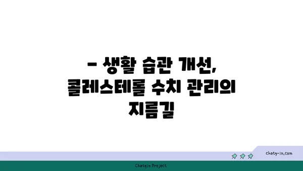 콜레스테롤 수치 낮추는 3가지 필수 방법| 건강한 식단, 운동, 생활 습관 개선 | 건강 관리, 고지혈증, 심혈관 질환 예방