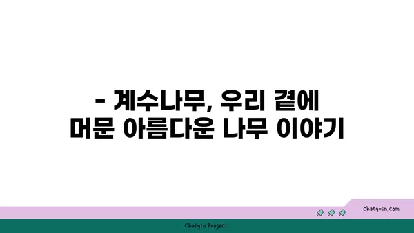 계수나무의 매력|  꽃, 열매, 그리고 전설 | 계수나무, 나무 정보, 전설, 민속