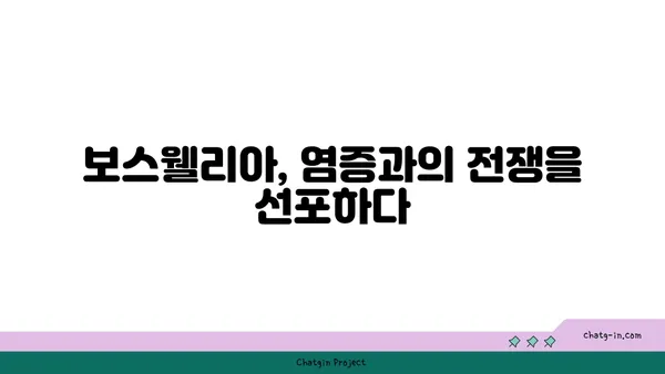 보스웰리아의 놀라운 효능| 염증 완화부터 관절 건강까지 | 보스웰리아, 건강, 효능, 염증, 관절, 천연, 항염증