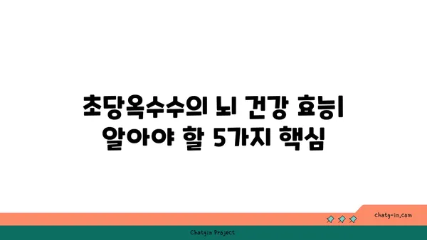 초당옥수수의 신경 보호 효능| 과학적 근거와 잠재적 이점 | 뇌 건강, 항산화, 신경세포 보호, 연구 결과