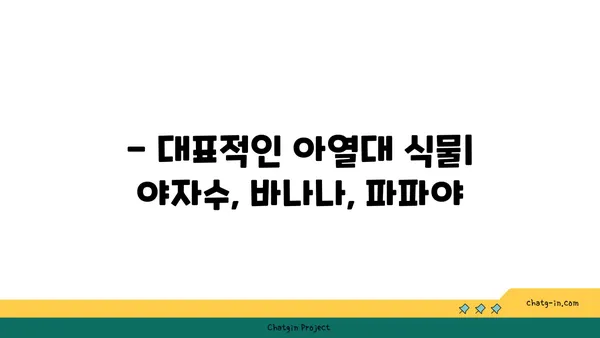 아열대 기후 지역의 특징과 대표적인 식물 | 아열대, 기후, 식물, 환경