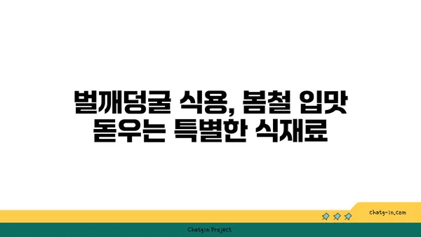 벌깨덩굴, 약초로 알아보는 효능과 부작용 | 벌깨덩굴 효능, 벌깨덩굴 부작용, 벌깨덩굴 차, 벌깨덩굴 식용