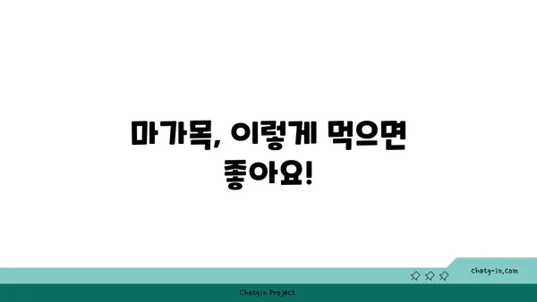 마가목 효능과 부작용 완벽 정리 | 마가목차, 효능, 복용법, 주의사항