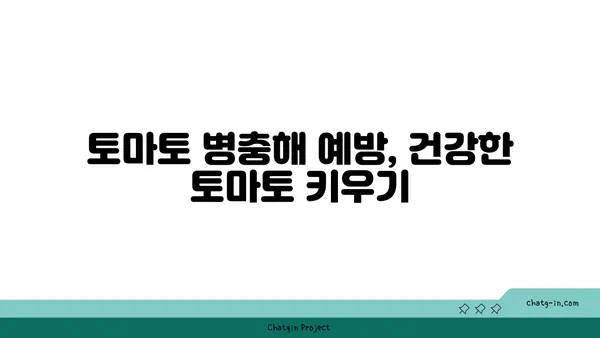 가정에서 토마토 풍년을 위한 완벽 가이드| 성공적인 수확을 위한 팁 | 토마토 재배, 베란다텃밭, 가정원예