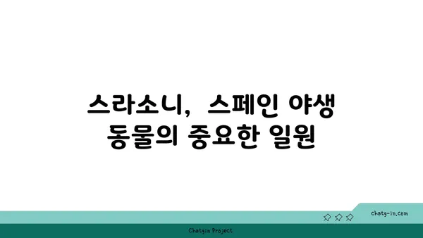 스페인 스라소니| 매혹적인 야생 고양이의 모든 것 | 스라소니, 스페인 야생 동물, 야생 고양이, 서식지, 생태