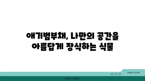 애기범부채 키우기 완벽 가이드 | 잎꽂이, 물꽂이, 번식, 관리법, 효능