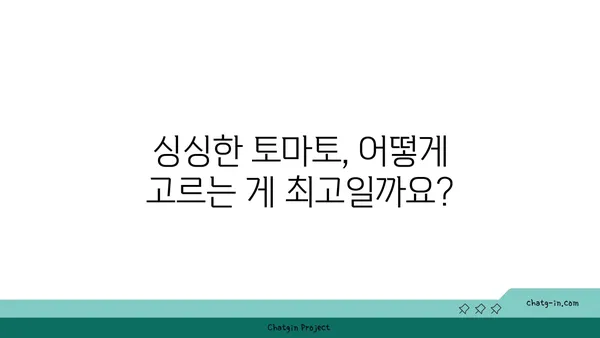 완벽한 토마토 고르기 & 보관법| 최상의 맛과 영양을 위한 가이드 | 토마토 선택, 토마토 보관, 토마토 요리