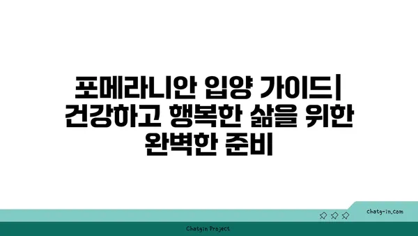 포메라니안 입양 가이드| 건강하고 행복한 삶을 위한 완벽한 준비 | 포메라니안 분양, 포메라니안 특징, 포메라니안 키우기