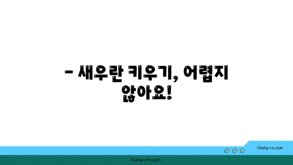 새우란의 매력에 빠지다| 종류별 특징과 키우는 방법 | 새우란, 난초, 식물 키우기, 취미