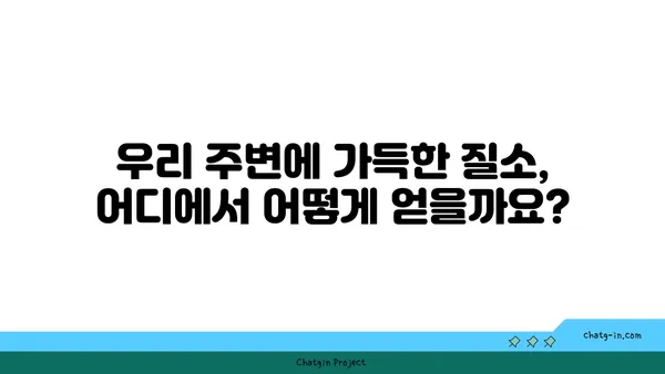 질소의 모든 것| 산출, 성질, 용도 | 화학, 산업, 생활