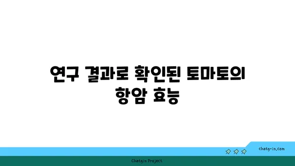 토마토의 놀라운 암 예방 효과| 연구 결과 & 섭취 방법 | 항암 식단, 건강 식품, 토마토 효능