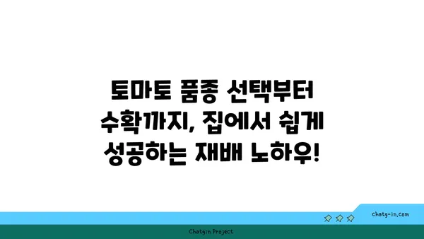 토마토 맛있게 키우는 꿀팁| 집에서 쉽게 성공하는 재배 가이드 | 토마토, 재배, 텃밭, 꿀팁, 가이드