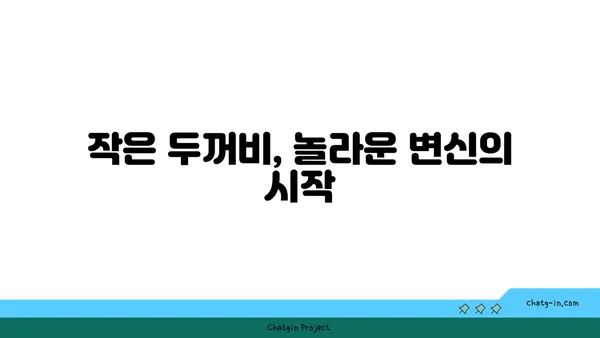 작은두꺼비의 놀라운 변신| 올챙이에서 성체까지 | 두꺼비, 양서류, 성장 과정, 생태