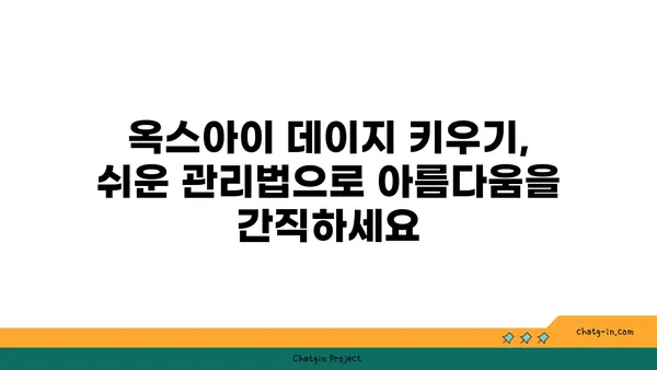 옥스아이 데이지| 야생화 애호가를 위한 매력적인 만남 | 야생화, 꽃말, 재배, 관리