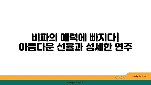 비파 감상 가이드| 걸작 이해를 위한 핵심 포인트 | 비파 음악 감상, 걸작 해설, 비파 연주 팁