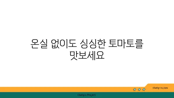 겨울철에도 싱싱한 토마토를? 꿀팁 가득한 재배 가이드 | 토마토, 겨울 재배, 온실 재배, 베란다 재배