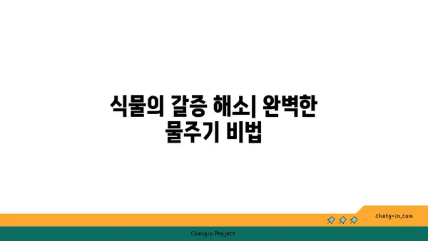 식물을 위한 완벽한 물주기 가이드 | 식물 관리, 물주기 팁, 건강한 식물 키우기