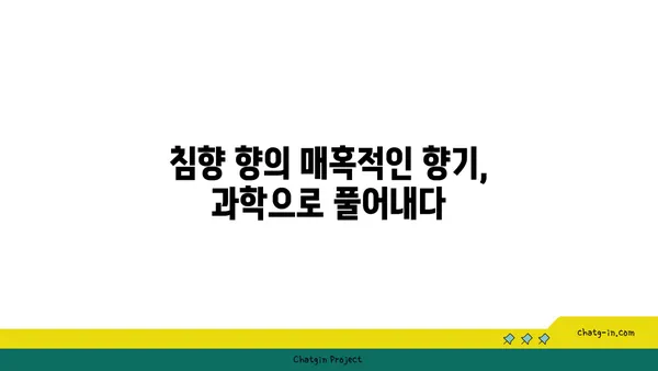 침향 향 연구| 향기의 과학적 탐구 | 침향, 향, 연구, 과학, 분석, 효능,  역사, 문화