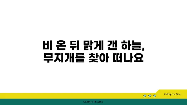 무지개는 어떻게 만들어지나요? | 햇빛과 물방울의 마법 같은 만남