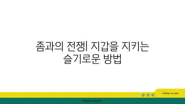 좀 때문에 망가지는 내 지갑| 숨겨진 비용 폭로 | 좀, 집안, 재정, 손상, 비용, 해결