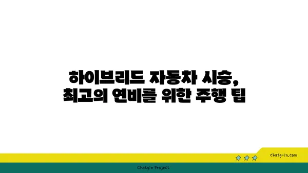 하이브리드 자동차 시험 주행 가이드| 최적의 경험을 위한 단계별 안내 | 하이브리드, 시승, 전기차, 연비, 주행 팁