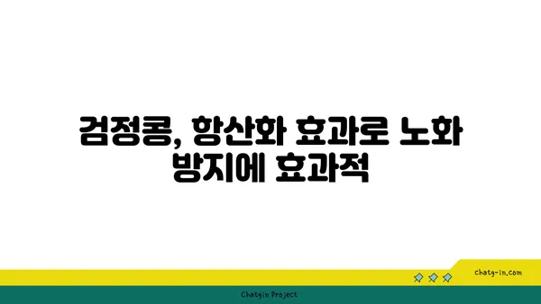 검정콩의 과학적 수수께끼| 영양과 건강의 복잡한 관계 탐구 | 검정콩 효능, 건강 효과, 영양 분석, 연구 결과